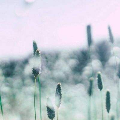 半岛·体育中国官方网站入口