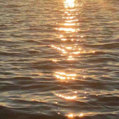 澳客APP下载官网app下载